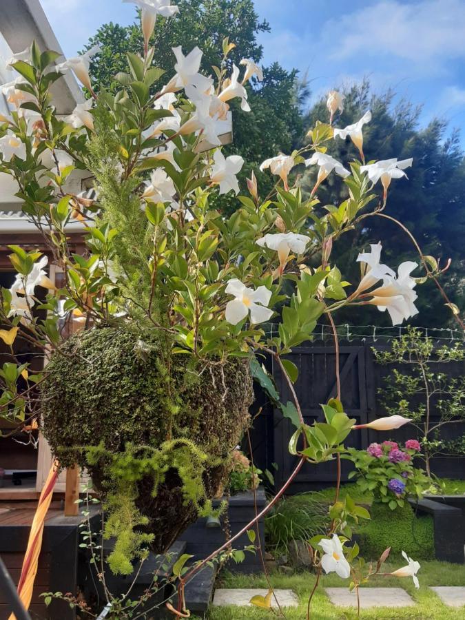 Harbour View Cottage Auckland Bagian luar foto
