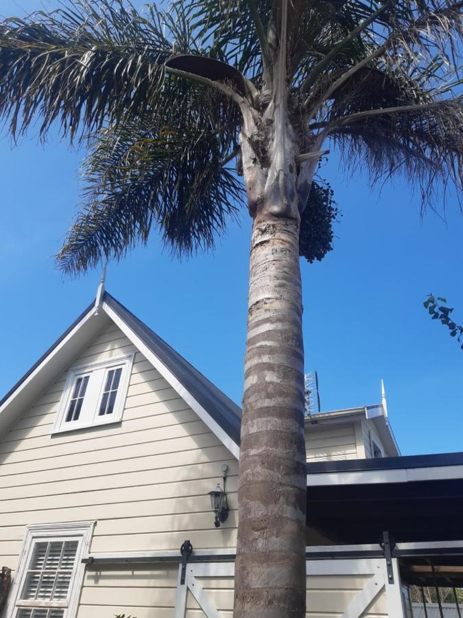 Harbour View Cottage Auckland Bagian luar foto