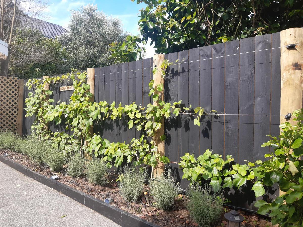 Harbour View Cottage Auckland Bagian luar foto